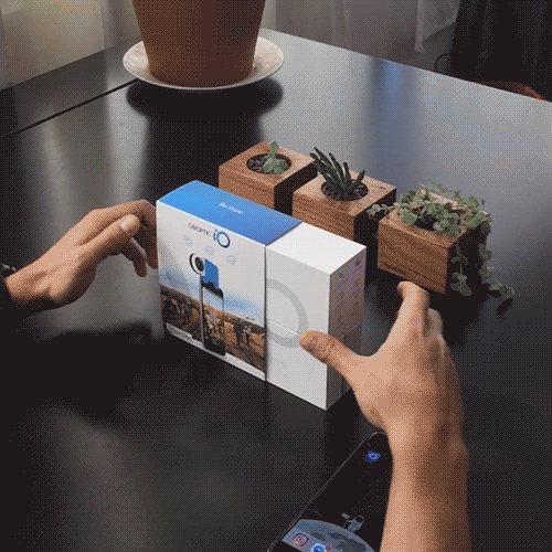 GIF by Tangelo