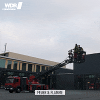 200.gif?cid=fc005b08e2e00f56ba55d03a86f1b7bfb2ce80f19ef87e2d&rid=200.gif&ct=g