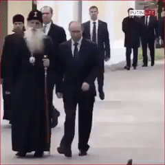 andrehilton vladimir putin pigeon GIF