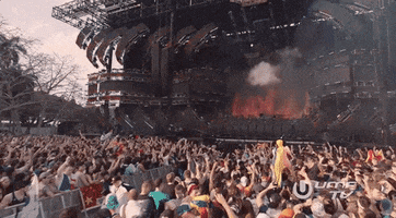 dance wow GIF by Ultra Music Festival