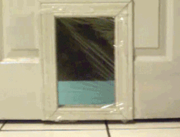 tuxgif prank GIF