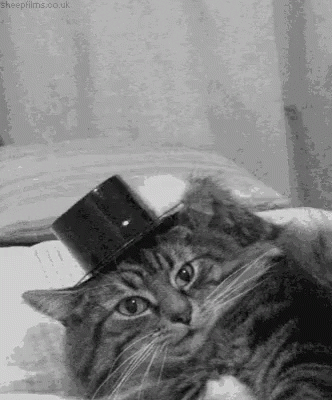 alzheimer jajaja buongiorno buenos dÃ­as buenos dÃƒÂ­as GIF