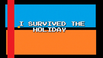 stephs i survived the holidays GIF