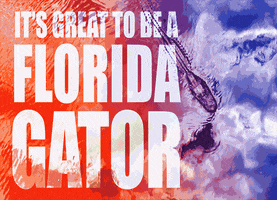 Florida Gators Uf GIF by University of Florida