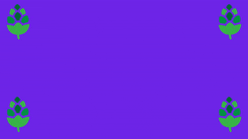 sheldonhowarth  GIF