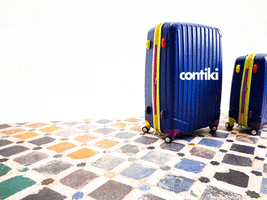 #Travel #Bagtag GIF by Contiki