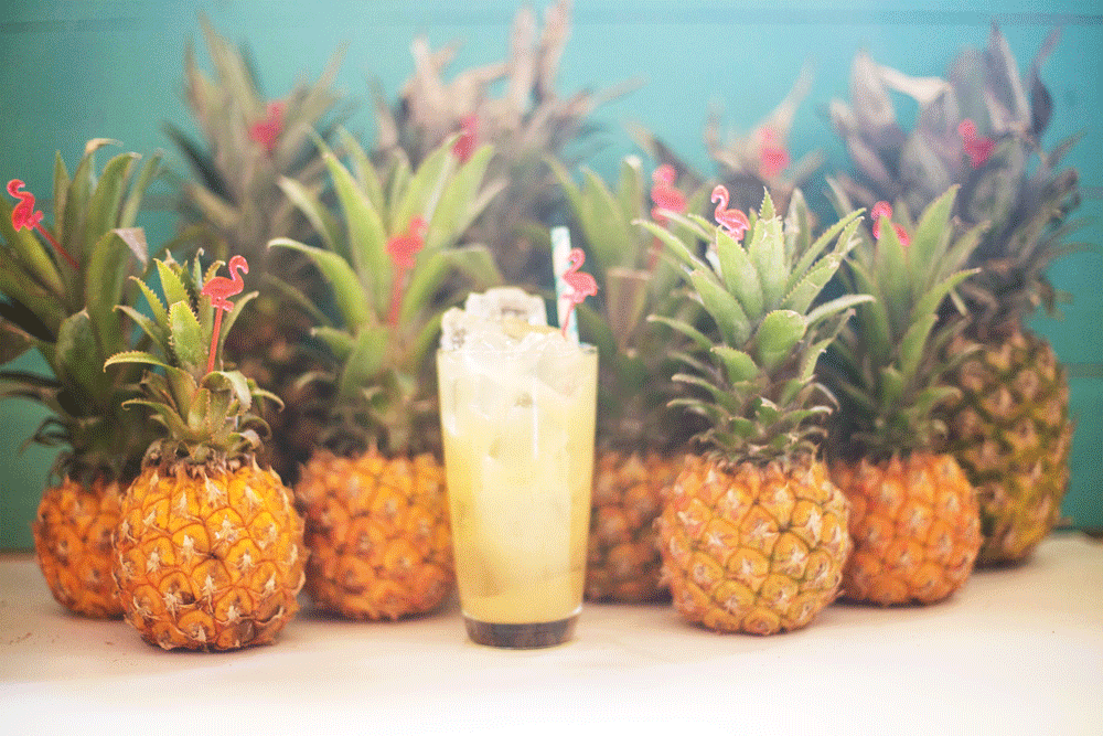 Pineapple GIF by Malibu Rum Find & Share on GIPHY