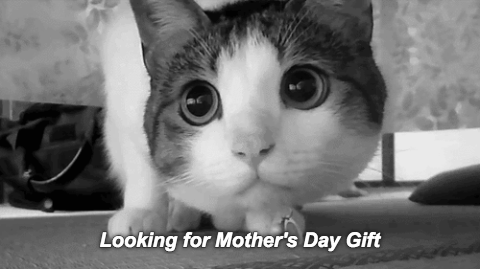 Image result for menu in pictures