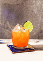 Happy Hour Cheers GIF by Milagro Tequila