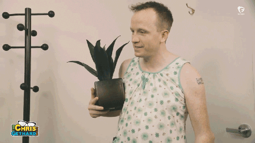 Pwr Bttm Dress GIF By Gethardshow Find Share On GIPHY