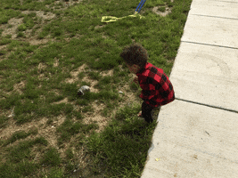 hoosierslim dexter turtle GIF