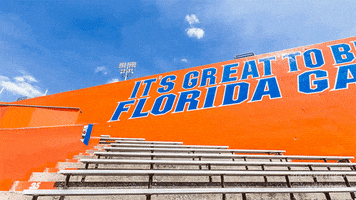 ben hill griffin stadium football GIF by University of Florida