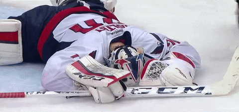 braden holtby