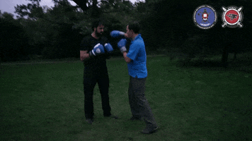 izvor-volk izvor how to take a punch GIF