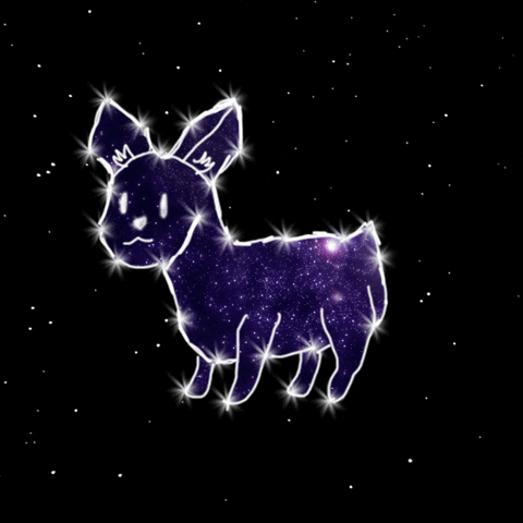 night sky dog GIF by NeonMob