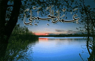 marwan  GIF
