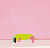 Animation Sniffing GIF by andrewillustration