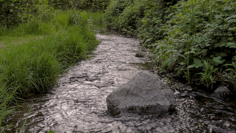 Water Rock GIF by Living Stills - Find & Share on GIPHY