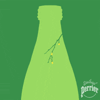 popsicleillusion-art-lemon-perrier-3o85xAGtTrEWKRfqx2
