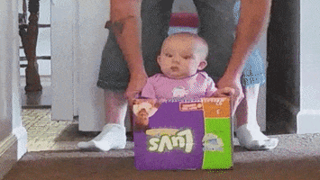 Wide Eyed Reaction GIF by America's Funniest Home Videos