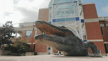 florida gators statue GIF by University of Florida