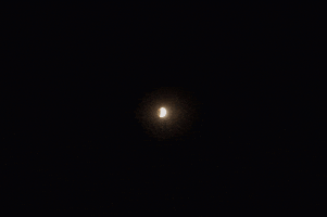 jbcp eclipse GIF