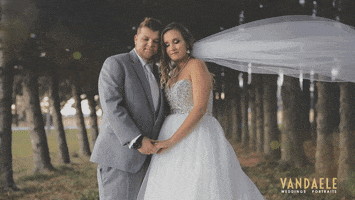 shawnvandaele wedding cinemagraph veil bride and groom GIF