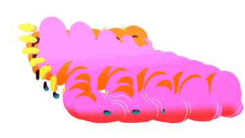 animation sushi GIF by Ori Toor