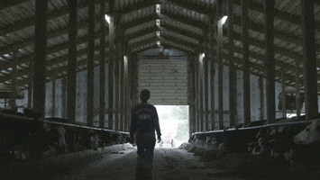 estudioabc ice cream cow road sorvete GIF