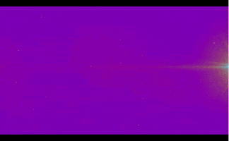 andrew #goldgames GIF