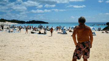 beach bermuda GIF by Doctor Popular