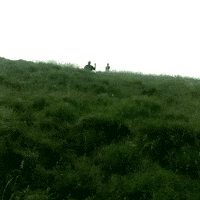 surfing hill GIF by AFV Epic Fails