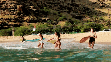 200.gif?cid=fc005b0853ab568b6f63ed79b836597df1a7dabc061caa5b&rid=200.gif&ct=g