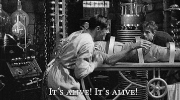 jellybean  GIF