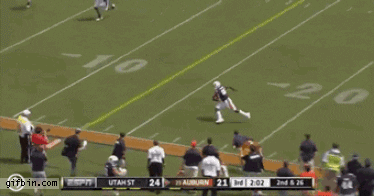 alexloubety nfl GIF