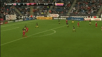 michaelnorton  GIF