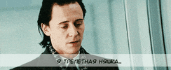 alexlitus  GIF