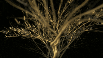 gold tree GIF by limeartgroup