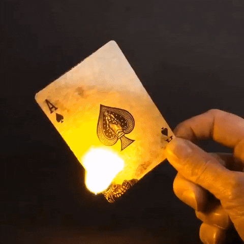 adrubens halloween zombies trickortreat abracademy GIF