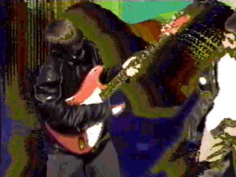 giphy.gif