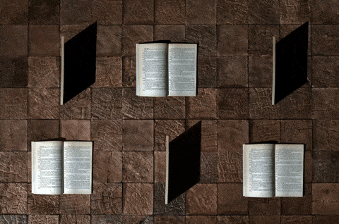BOOK CLUB for adults content media