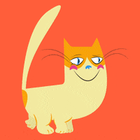 Cool Cat GIF by Tim