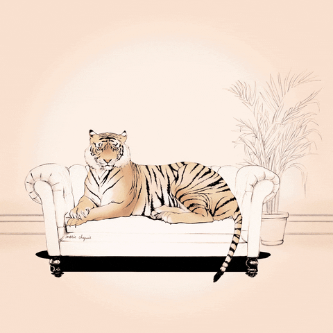 illustration yawn GIF by Marie Chapuis