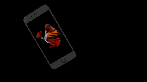 iphone 6 animated gif