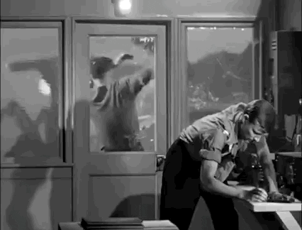 Giant Ants Gifs Get The Best Gif On Giphy