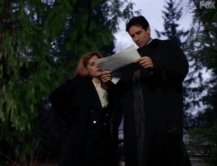 David Duchovny Agent Mulder GIF by The X-Files