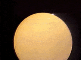 marty  GIF