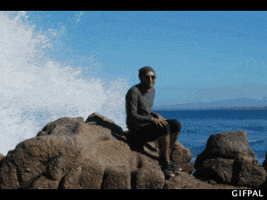 tiger  GIF