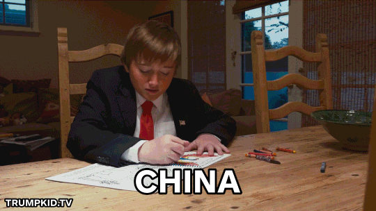 china donald trump president trump megyn kelly GIF