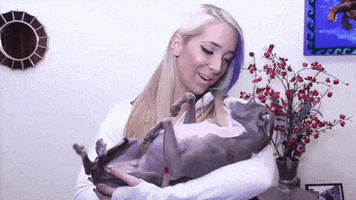jenna marbles dogs GIF by Sidechat